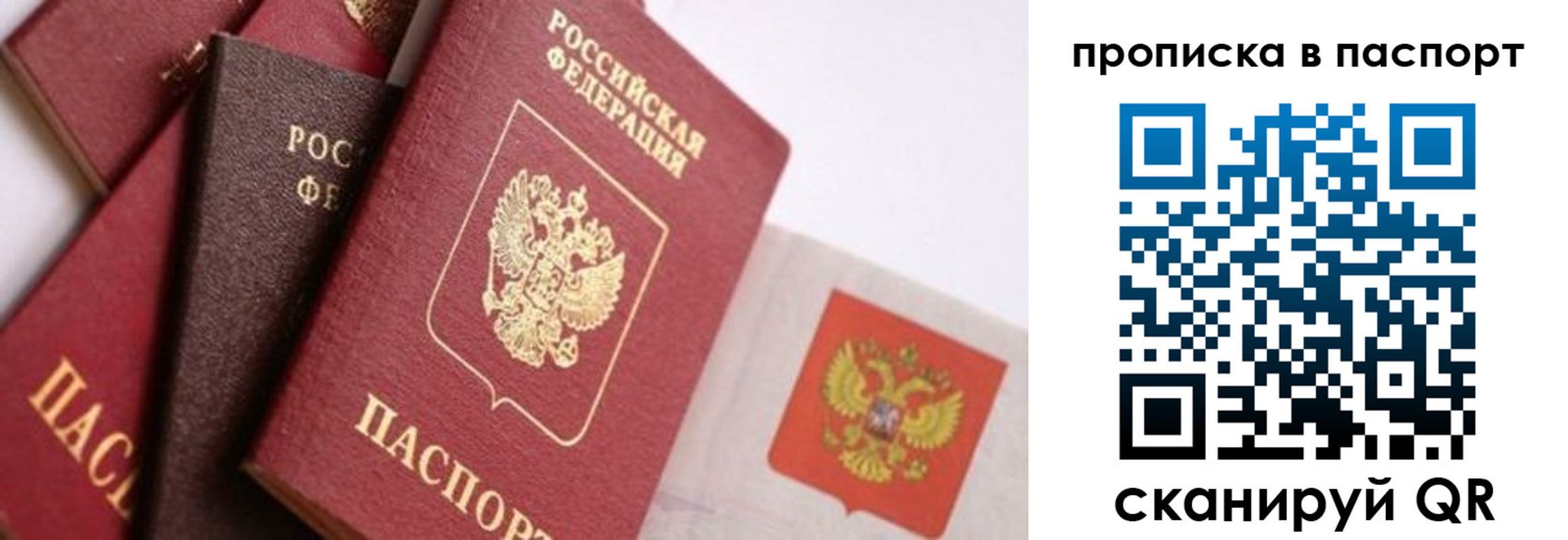 прописка штамп в Мытищах